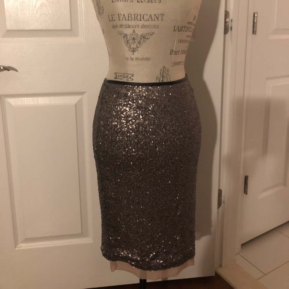 Sequin Skirt